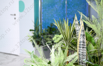 СОЦИАЛЬНАЯ СТОМАТОЛОГИЯ БЕЛОГОРЬЯ на Ольминского