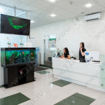 Стоматологический комплекс ПРЕЗИДЕНТ м. Волоколамская