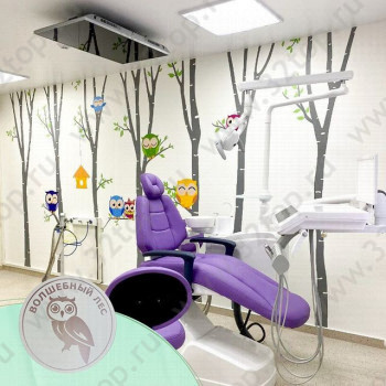 Стоматологическая клиника СМЕЛЫЙ ЧИПОЛЛИНО