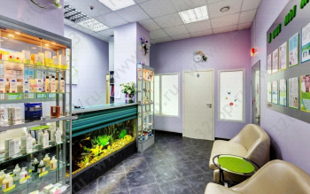 Стоматология МД + (МД ПЛЮС)