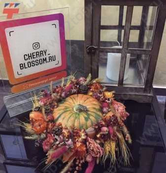 СТОМАТОЛОГИЧЕСКАЯ КЛИНИКА ДОКТОРА АЛЕКСЕЕВОЙ м. Комсомольская