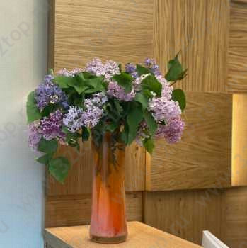 Авторская стоматология SMART CLINIC (СМАРТ КЛИНИК) на Петроградской