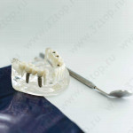 Стоматологический центр ПРЕЗИДИУММЕД