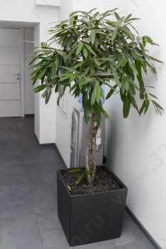 Стоматологическая клиника СТОМАЛИНА м. Первомайская