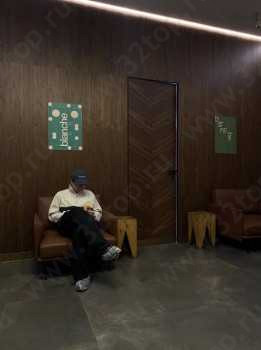 Стоматологическая клиника BLANCHE (БЛАНШ) м. Алексеевская