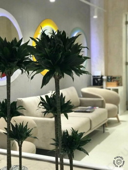 Стоматологическая клиника FRIENDLY DENTAL STUDIO (ФРЭНДЛИ ДЕНТАЛ СТУДИО) м. Московские Ворота