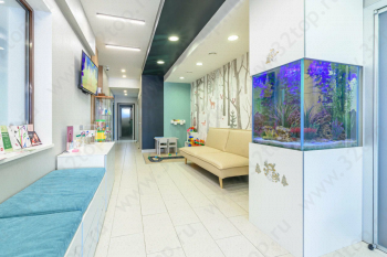 Стоматологическая клиника БЭБИ ВИТА ДЕНТ м. Народное Ополчение