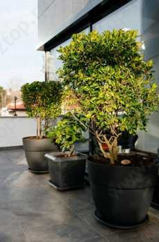 Стоматологическая клиника ВАЛЕ МЕД