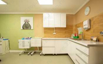 Авторская стоматология АЛЬБУС ДЕНТЕ