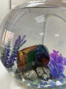 Стоматология ДЕНТА PRO (ДЕНТА ПРО)