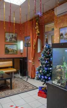 СОВРЕМЕННАЯ СТОМАТОЛОГИЯ на Королёва