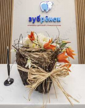 Клиника детской стоматологии ЗУБРЁНОК м. Чертановская