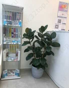 Стоматологическая клиника INEXMED (ИНЭКСМЕД) м. Улица Дыбенко