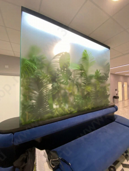 Медицинский центр MEDSWISS (МЕДСВИСС) м. Пролетарская