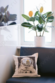 Стоматологическая клиника SPACE DENT (СПЭЙС ДЕНТ) м. Василеостровская