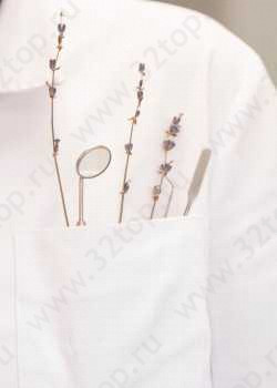 Стоматологическая клиника INTELLY (ИНТЕЛЛИ)