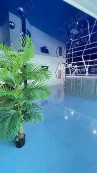 Стоматология PLATINUM DENT (ПЛАТИНУМ ДЕНТ)