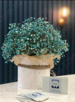 Стоматология IT CLINIC (АЙ ТИ КЛИНИК) м. Московские ворота