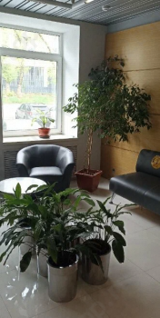 Многопрофильная клиника СОЮЗ м. Аэропорт