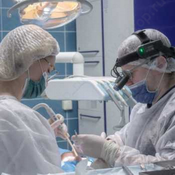 Стоматология THE DENT (ЗЕ ДЕНТ) м. Курская