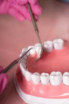 Сеть детских стоматологий NATADENT (НАТАДЕНТ) м. Октябрьское Поле