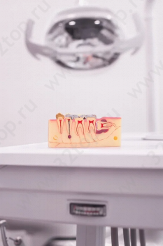 СТОМАТОЛОГИЯ ДЛЯ ВСЕХ в мкр. Паново