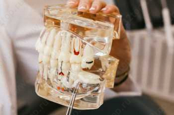 Стоматологическая клиника RELAX STOM