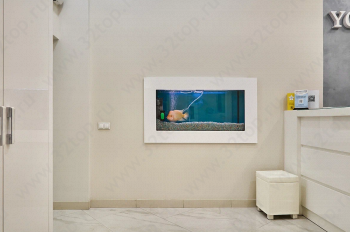 Стоматологическая клиника YOUR DENTIST - ВАШ СТОМАТОЛОГ м. ВДНХ