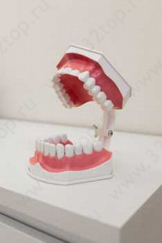 Сеть клиник БЛЕСК на Красном, 314