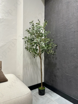 Стоматология СЕМЕЙНЫЙ СТОМАТОЛОГ на Пирогова