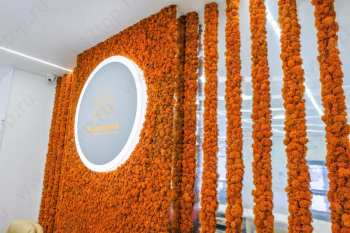 Детская стоматологическая клиника МИЛЛИДЕТИ м. Суконная Слобода