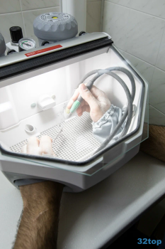 Стоматология ЗУБЫ ЗА ОДИН ДЕНЬ