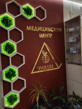 Медицинский центр ЭМИЛИЯ