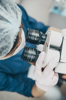 Частная стоматология BELGRAVIA DENTAL STUDIO (БЕЛГРАВИЯ ДЕНТАЛ СТУДИО) м. Кунцевская