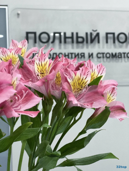 Клиника ПОЛНЫЙ ПОРЯДОК НА ТУРКУ м. Международная