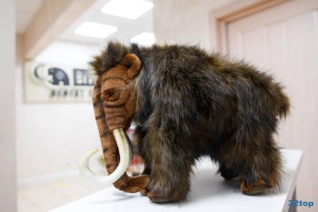 Стоматологическая клиника BIVNI DENTAL CLUB (БИВНИ ДЕНТАЛ КЛАБ) м. Академическая