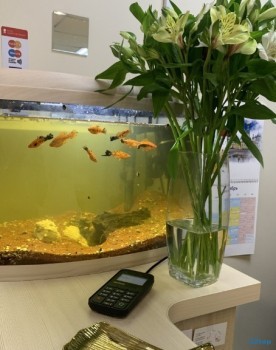 Стоматологический центр ЭСТЕТ м. Беговая