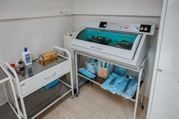 Медицинский центр ДЕЛЬФИН