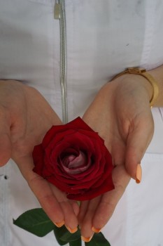 Медицинский центр СОНЭКС