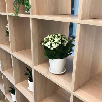 Клиника эстетической косметологии ECO CLINIC (ЭКО КЛИНИК)