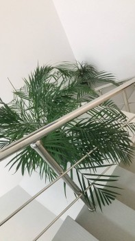 Клиника эстетической косметологии ECO CLINIC (ЭКО КЛИНИК)