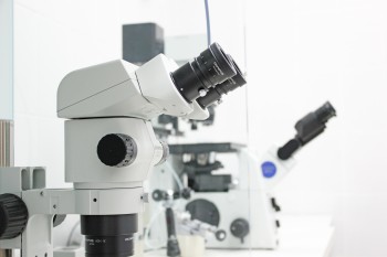 Клиника репродукции человека КОЛЫБЕЛЬ