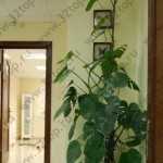 Европейская стоматологическая практика НОВАDЕНТ (НОВАДЕНТ) м. Академическая