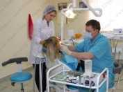 КЛИНИКА КРАСИВОЙ УЛЫБКИ м. Гагаринская