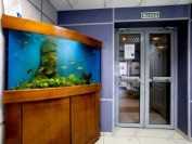 СВЕРДЛОВСКАЯ ОБЛАСТНАЯ СТОМАТОЛОГИЧЕСКАЯ ПОЛИКЛИНИКА на ул. Щорса