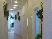 Клиника CONCEPT DENTAL (КОНЦЕПТ ДЕНТАЛ) м. Московская