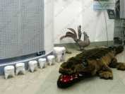 Стоматологическая клиника ОМДЕНТ