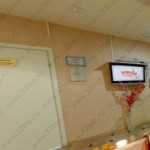 Стоматология ФЕНИКС м. Комендантский Проспект