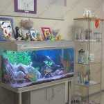 Стоматология ДЕНТА ЛИГА