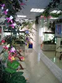 Сеть специализированных детских стоматологических центров DUNCAN (ДУНКАН) м. Комендантский Проспект